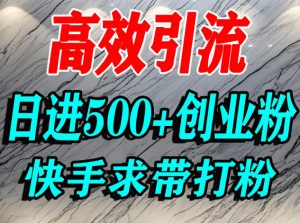 怎么打创业粉？快手求带视角精准引流创业粉，宝妈、学生群体日进500+精准流量-第一资源库
