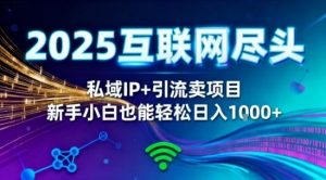2025网创尽头王炸项目！私域IP+精准引流，新手小白在家躺賺日入1k，零经验也能上手【揭秘】-第一资源库