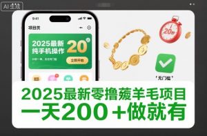 2025最新零撸薅羊毛项目，纯手机操作，20秒一单，无任何门槛，一天200+做就有【揭秘】-第一资源库