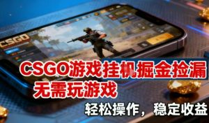 CSGO游戏挂G掘金捡漏，不需要玩游戏，操作简单，收益稳定【揭秘】-第一资源库