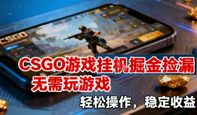 CSGO游戏挂G掘金捡漏，不需要玩游戏，操作简单，收益稳定【揭秘】-第一资源库