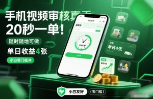 手机视频审核真香！20秒一单，随时随地可做，单日收益4张，小白零门槛冲【揭秘】-第一资源库