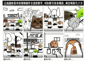 卤蛋哈基米短视频制作全流程教学，条条爆款，疯狂吸粉几十万-第一资源库