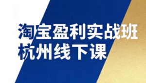 淘宝盈利实战班杭州线下课12月26-28日(音频+字幕),帮你掌握SOP流程+12门核心技术-第一资源库