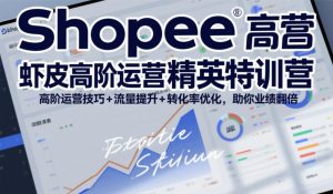Shopee虾皮高阶运营精英特训营,高阶运营技巧+流量提升+转化率优化,助你业绩翻倍-第一资源库