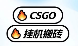 真全网独家CSGO挂G,最新玩法,单日捡漏1K+,不用电脑,不用打游戏【揭秘】-第一资源库