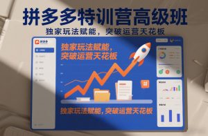 拼多多特训营高阶班,独家玩法赋能,突破运营天花板(更新26年1月)-第一资源库