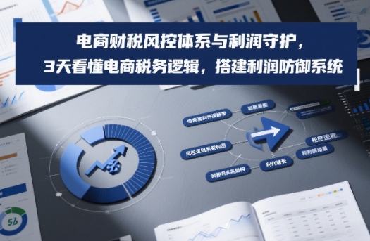 电商财税风控体系与利润守护,3天看懂电商税务逻辑,搭建利润防御系统-第一资源库