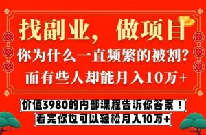 价值3980的网创内部课程,告诉你互联网创业月入10个W的秘密【揭秘】-第一资源库