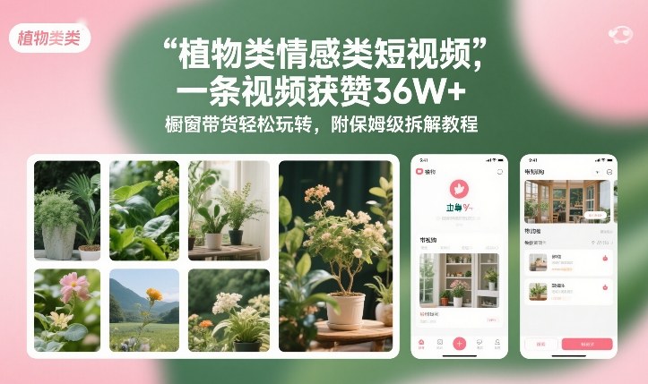 植物类情感类短视频，一条视频获赞36W+，橱窗带货轻松玩转，附保姆级拆解教程-第一资源库