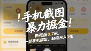 手机截图暴力掘金！两张图0.7米，一部手机搞定，轻松日入3张【揭秘】-第一资源库