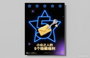 付费文章：小众之人的5个隐藏福利-第一资源库