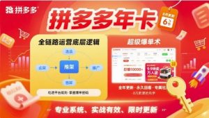 拼多多年卡,拼多多全链路运营底层逻辑,超级爆单术【更新26年1月】-第一资源库