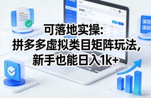 可落地实操:拼多多虚拟类目矩阵玩法,新手也能日入1k+【揭秘】-第一资源库