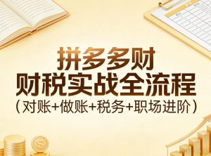 拼多多财税实战全流程(对账+做账+税务+职场进阶)-第一资源库