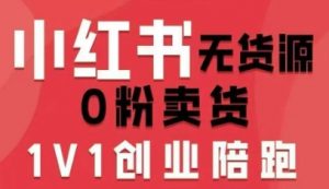 小红书无货源0粉电商课,开店准备、选品策略、笔记撰写、视频剪辑、数据分析、账号打造、资料文档(更新26年3月)-第一资源库