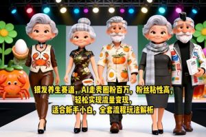 银发养生赛道，AI走秀圈粉百万，粉丝粘性高，轻松实现流量变现，适合新手小白，全套流程玩法解析-第一资源库