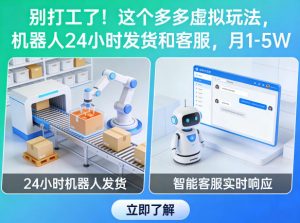 别打工了！这个多多虚拟玩法，机器人24小时发货和客服，月1-5W【揭秘】-第一资源库