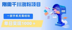 刚需千川涨粉项目，一部手机无需技术，单日变现1k+，当天做当天见收益【揭秘】-第一资源库